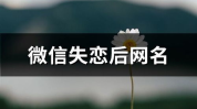 失恋网名,情感宣泄的符号，记录心路历程的印记