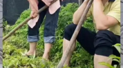 吃瓜群众娱乐八卦,娱乐八卦的狂欢与反思
