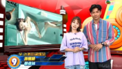 翡翠台在线观看,轻松享受精彩内容
