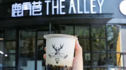 鹿角奶茶加盟店,时尚饮品品牌，创业新选择