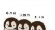 娱乐吃瓜酱情感文案图片,揭秘情感文案背后的故事