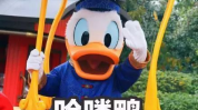 娱乐吃瓜鸭微博,揭秘娱乐圈幕后故事