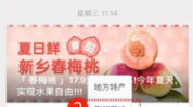 商城县邮编,探寻商城县独特的邮政印记